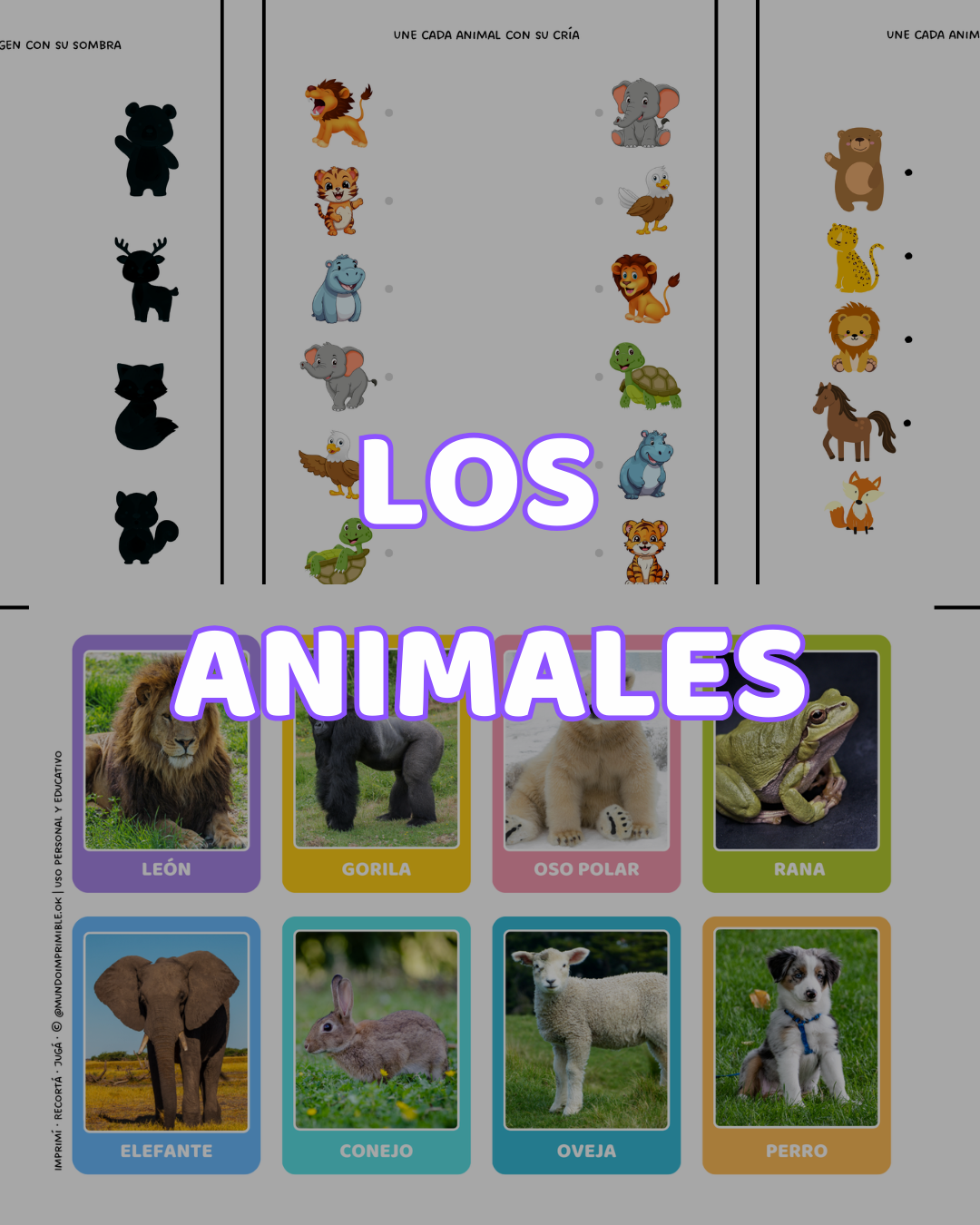 🧩Aprender Jugando ·  2 y 3 años