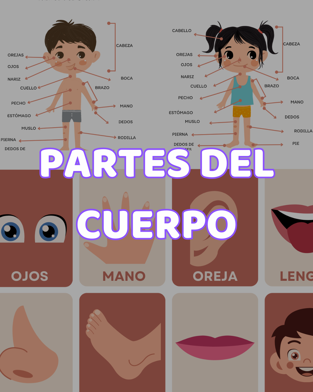 🧩Aprender Jugando ·  2 y 3 años